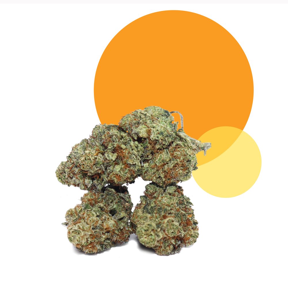 
                      
                        RVF Florida Citrus™ Flower | CBD | RVF Hemp
                      
                    