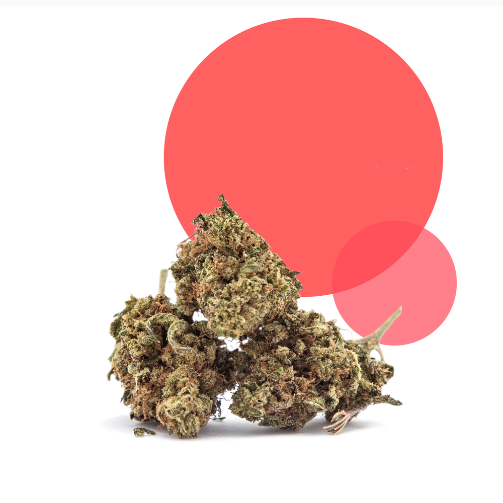 
                      
                        RVF Strawberry Sunshine™ Flower | CBD | RVF Hemp
                      
                    