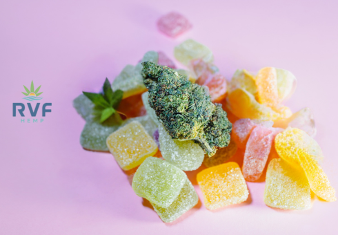 Hemp Gummies