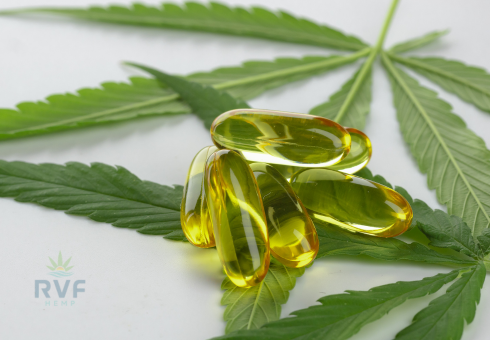 Reaping The Most Out of CBD Oil Softgels