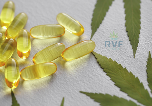 Order CBD Capsules Online From RVF Hemp