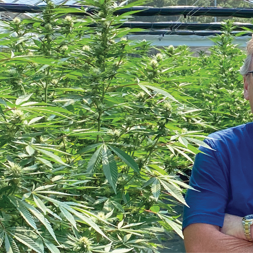 RVF Hemp