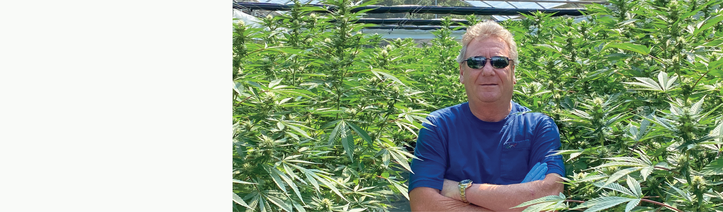 RVF Hemp