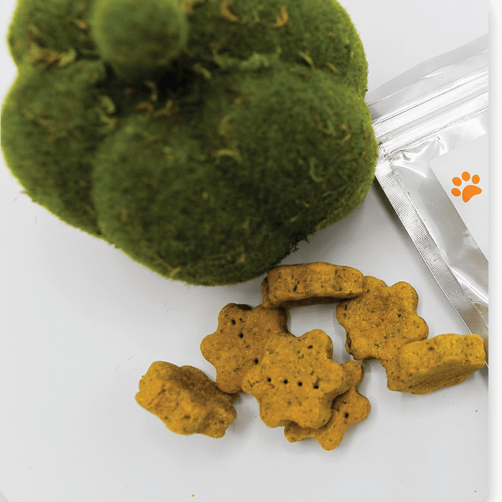 dog hemp chews